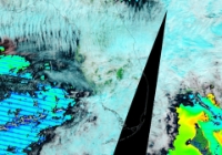 TerrModisFloridaChlorophyll A-2016-01-08-text