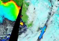 TerrModisFloridaChlorophyll A-2016-02-07-text