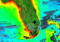 TerrModisFloridaChlorophyll A-2016-02-13-text