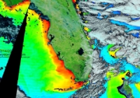 TerrModisFloridaChlorophyll A-2016-02-14-text