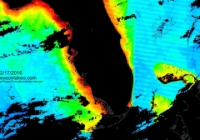 TerrModisFloridaChlorophyll A-2016-02-17-text