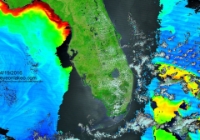 TerrModisFloridaChlorophyll A-2016-04-19-text