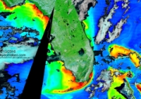 TerrModisFloridaChlorophyll A-2016-05-13-text