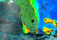 TerrModisFloridaChlorophyll A-2016-06-04-text