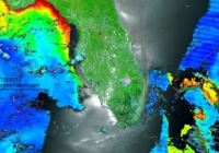 TerrModisFloridaChlorophyll A-2016-07-08-text