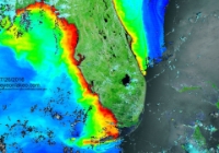 TerrModisFloridaChlorophyll A-2016-07-26-text