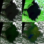 2023-08-03-00 00 2023-08-03-23 59 Sentinel-2 L2A -quad