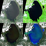 2026-06-13-00 00 2026-06-13-23 59 Sentinel-2 L2A -quad