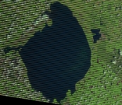 Landsat 7: 08/14/2017  LE07 L1TP 015041 20170814 20170814 01 RT - Crop