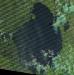 Landsat 7: 08/1/2018  LE07 L1TP 015041 20180801 20180801 01 RT