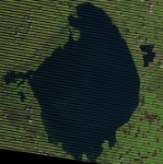Landsat 7: 10/20/18  LE07 L1TP 015041 20181020 20181020 01 RT