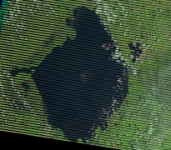 Landsat 7: 8/11/2016  LE70150412016224EDC01-crop
