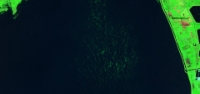 2020-06-24 00 00 - 2020-06-24 23 59, Sentinel-2 S2L1C, SWIR (2)