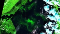 2020-11-01-00 00 2020-11-01-23 59 Sentinel-2 L2A SWIR (1)