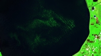 2021-07-04-00 00 2021-07-04-23 59 Sentinel-2 L2A SWIR (1)