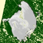 2021-07-19-00 00 2021-07-19-23 59 Sentinel-2 L2A NDVI