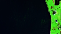 2021-08-08-00 00 2021-08-08-23 59 Sentinel-2 L2A SWIR (1)