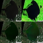 2023-08-08-00 00 2023-08-08-23 59 Sentinel-2 L2A -quad