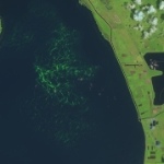 Landsat 8: 8/9/2018  LC08 L1TP 015041 20180809 20180809 01 RT - Copy