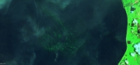 Sentinel-2 L1C from 2019-06-30-SWIR-close