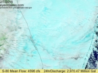 TerrModisMartinChlorophyll A-2016-02-07-text