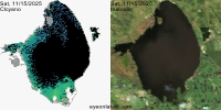 sentinel-3.2025319.1115.1507 1609C.ab.L3.FL3.v9110V20255 2 4.CIcyano-Crop+Truecolor