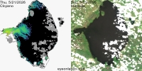 sentinel-3.2026141.0521.1521 1559C.ab.L3.FL3.v9110V20255 2 4.CIcyano-Crop+Truecolor