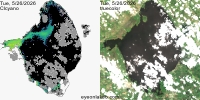 sentinel-3.2026146.0526.1529 1530C.a.L3.FL3.v9110V20255 2 4.CIcyano-Crop+Truecolor
