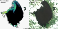 sentinel-3.2026149.0529.1513 1552C.ab.L3.FL3.v9110V20255 2 4.CIcyano-Crop+Truecolor