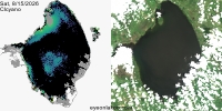 sentinel-3.2026227.0815.1529 1530C.a.L3.FL3.v9110V20255 2 4.CIcyano-Crop+Truecolor