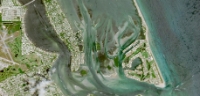 Seagrasses at Sailfish Flats