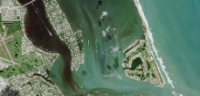 Seagrasses at Sailfish Flats