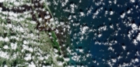 2020-10-27-00 00 2020-10-27-23 59 Sentinel-2 L2A True color